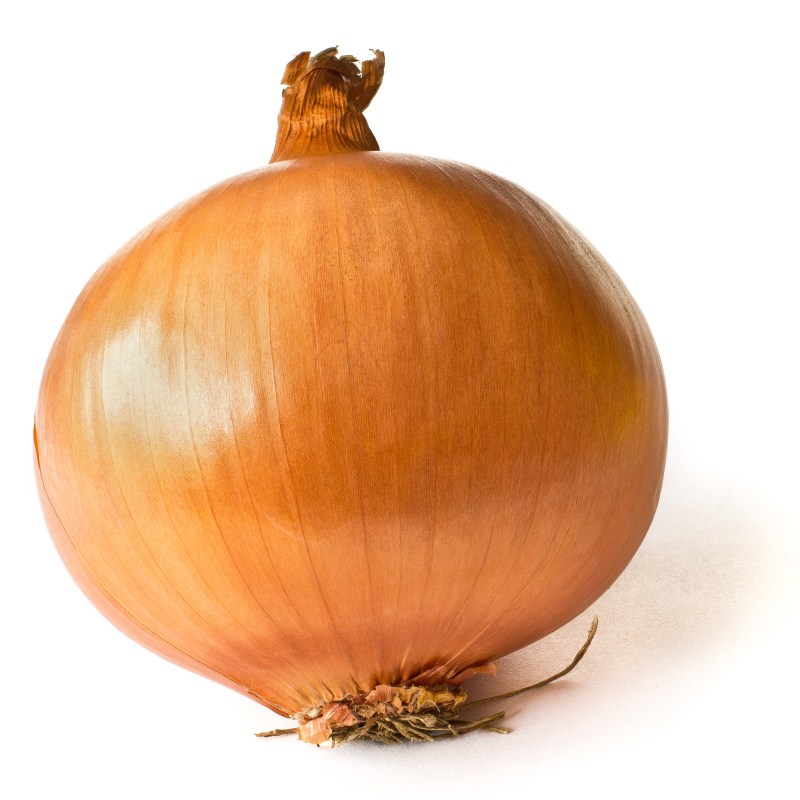 http://upload.wikimedia.org/wikipedia/commons/2/25/Onion_on_White.JPG