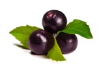 http://fuelyourmotionography.com/health/is-acai-berry-really-good-for-you/