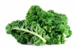 https://www.bidsbypros.com/portal/kale-a-fashionable-and-trendy-super-food-among-the-elite/