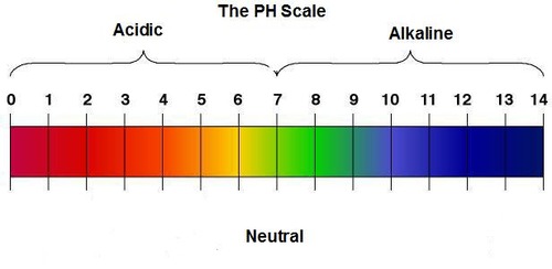http://www.marawellness.com/blog/2014/02/body-ph-acid-vs-alkaline
