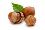 http://www.gardeningblog.net/how-to-grow/hazelnuts/